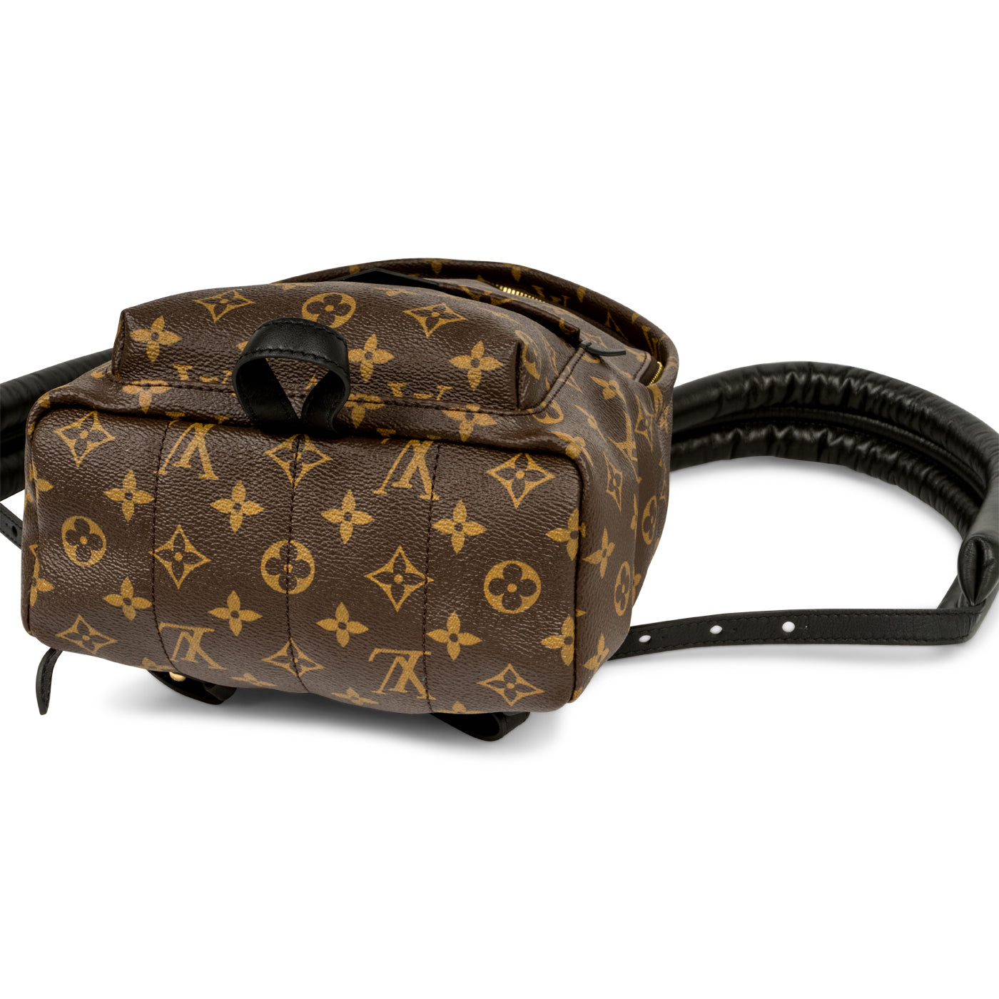 Louis Vuitton Palm Springs Backpack PM