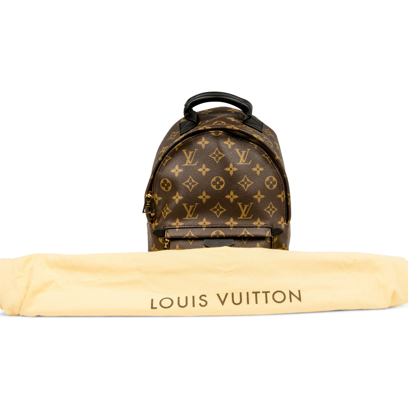Louis Vuitton Palm Springs Backpack PM