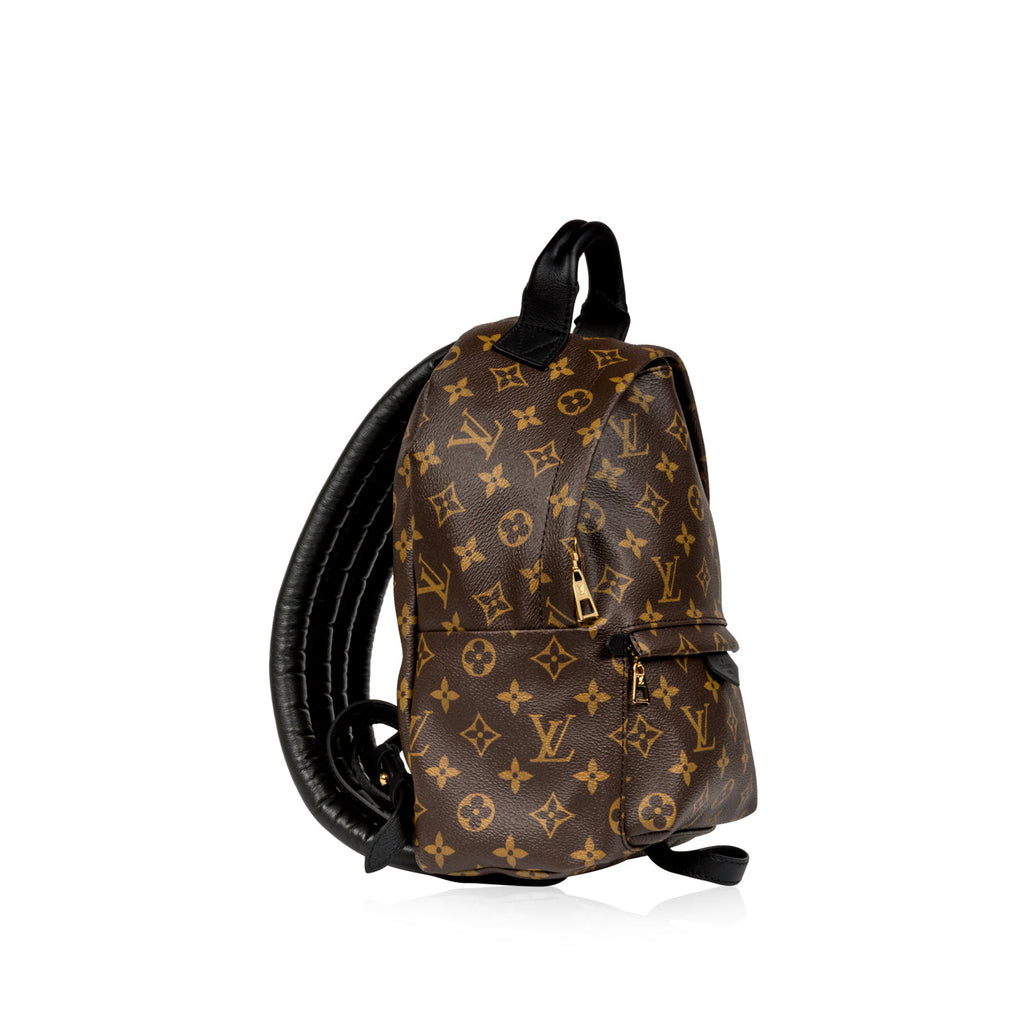 Louis Vuitton Palm Springs Backpack PM
