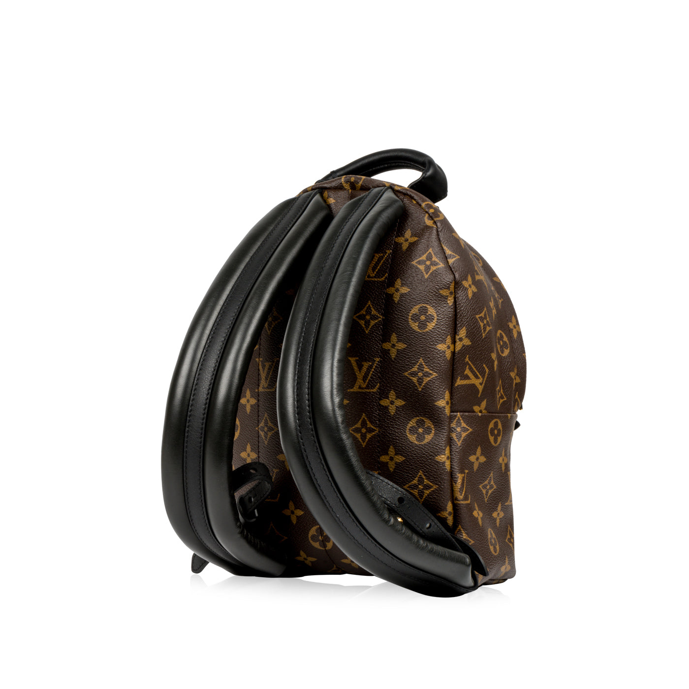 Louis Vuitton Palm Springs Backpack PM