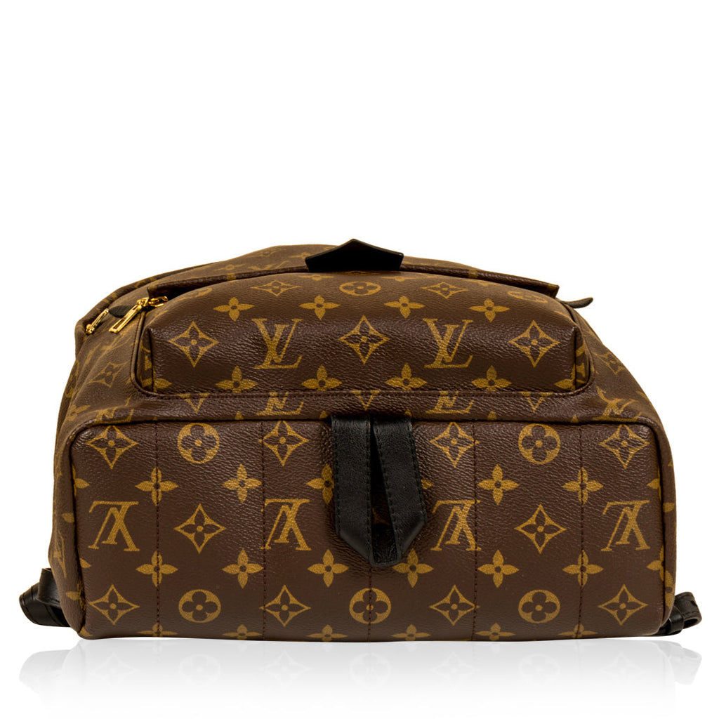 Louis Vuitton Palm Springs Backpack MM