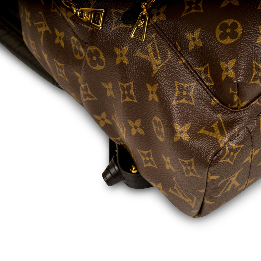 Louis Vuitton Palm Springs Backpack MM