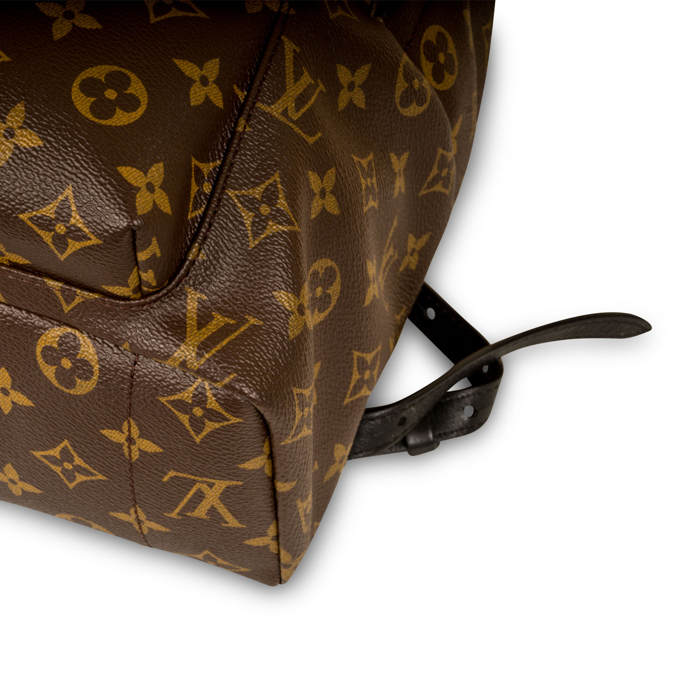 Louis Vuitton Palm Springs Backpack MM