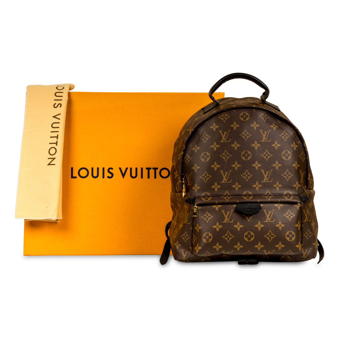 Louis Vuitton Palm Springs Backpack MM