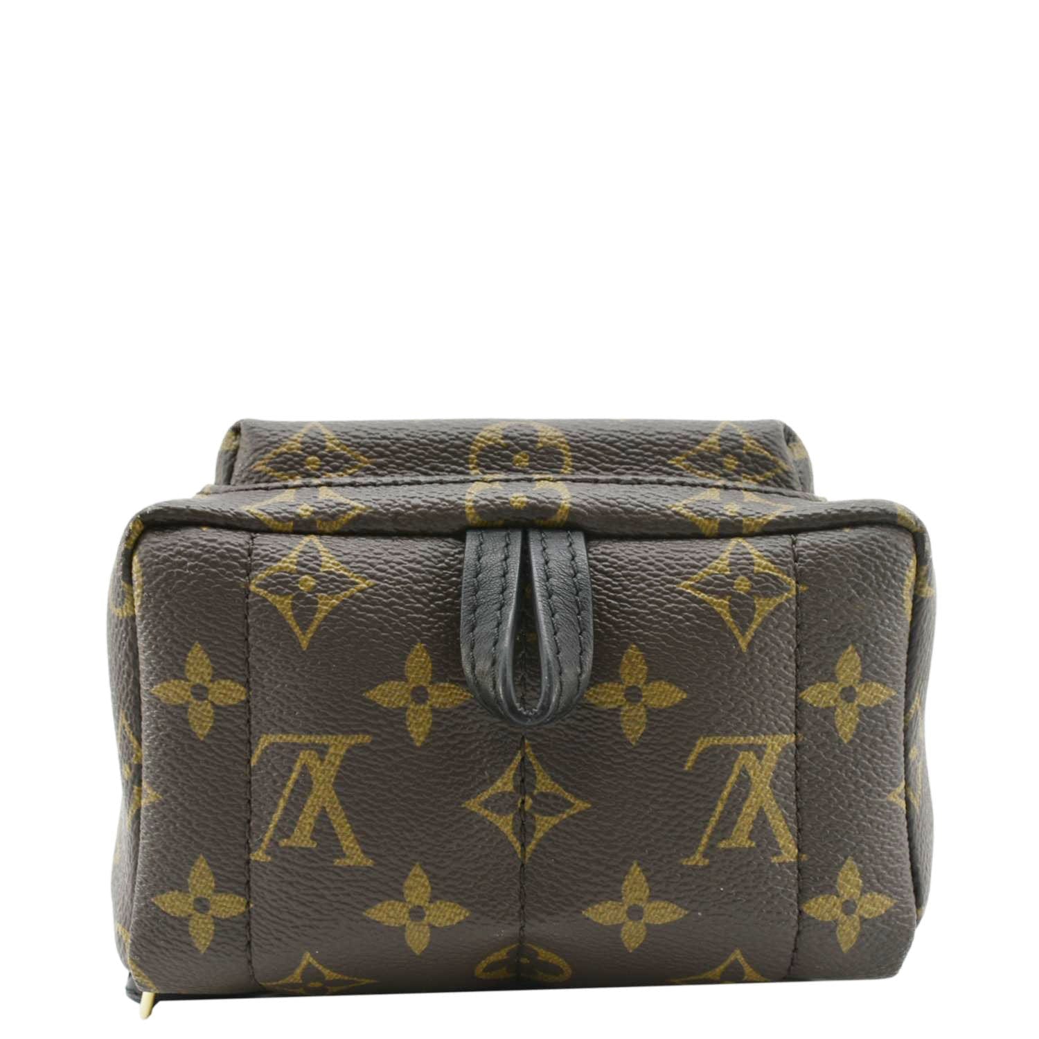 LOUIS VUITTON Palm Springs Mini Monogram Canvas Backpack Brown