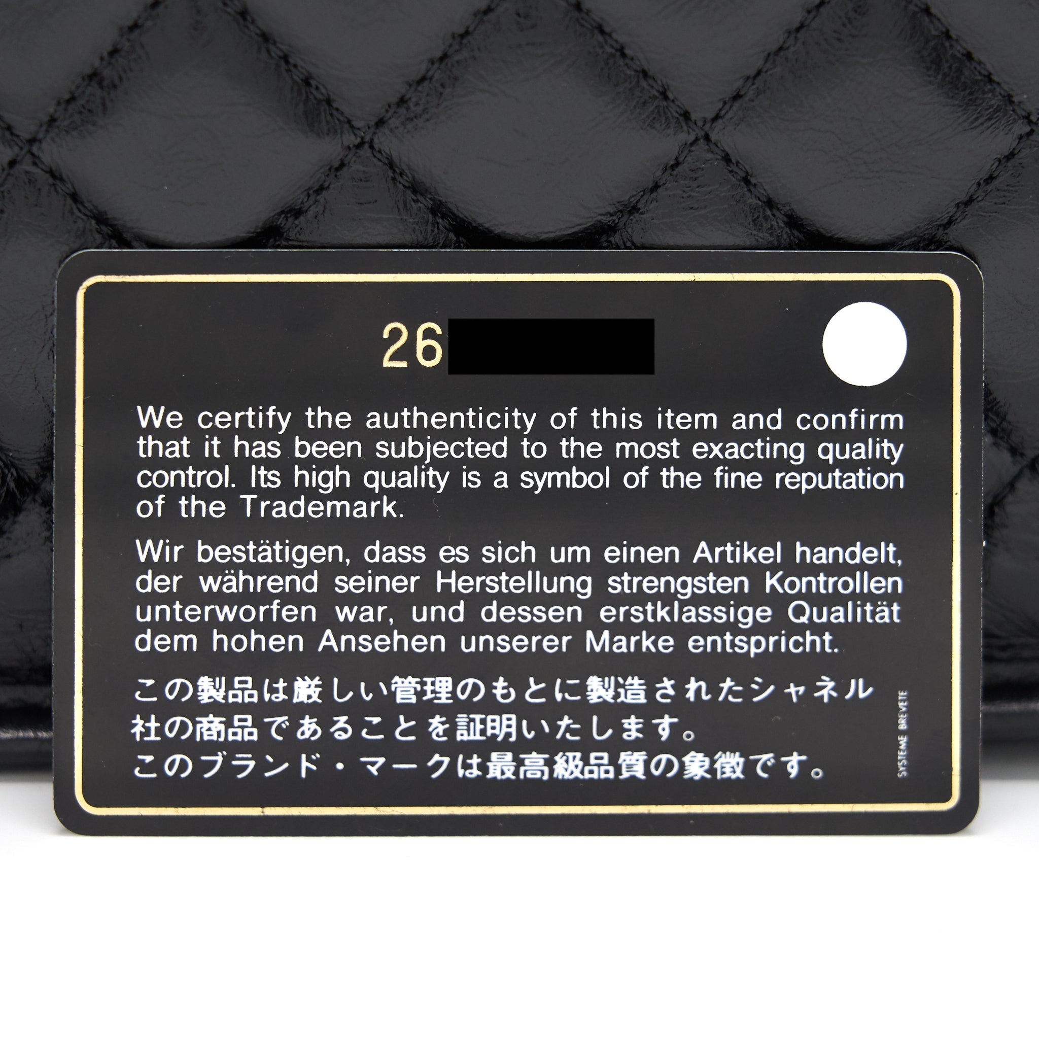Chanel 18B Calfskin Camera Case Black