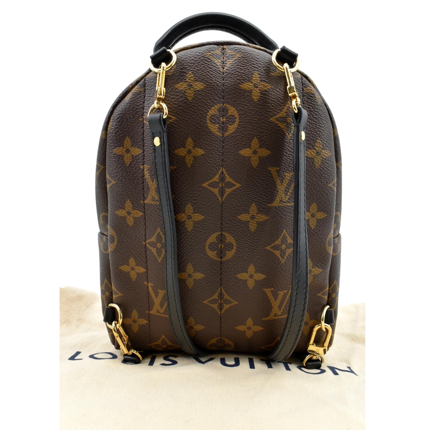 LOUIS VUITTON Palm Springs Mini Monogram Canvas Backpack Brown