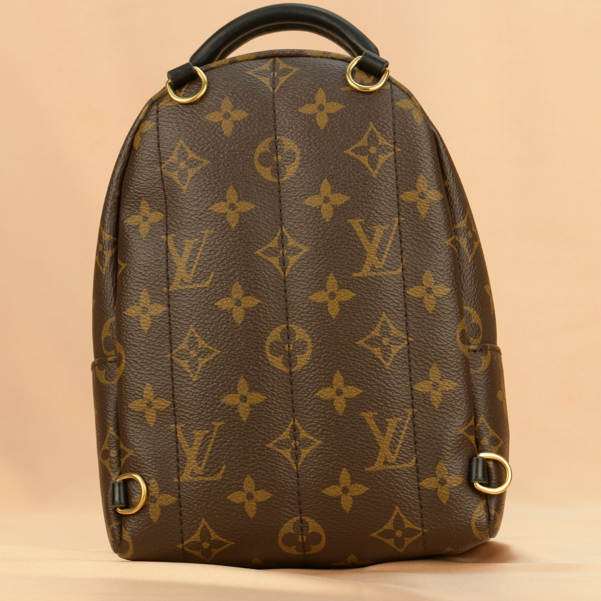 Louis Vuitton Palm Springs Mini Backpack
