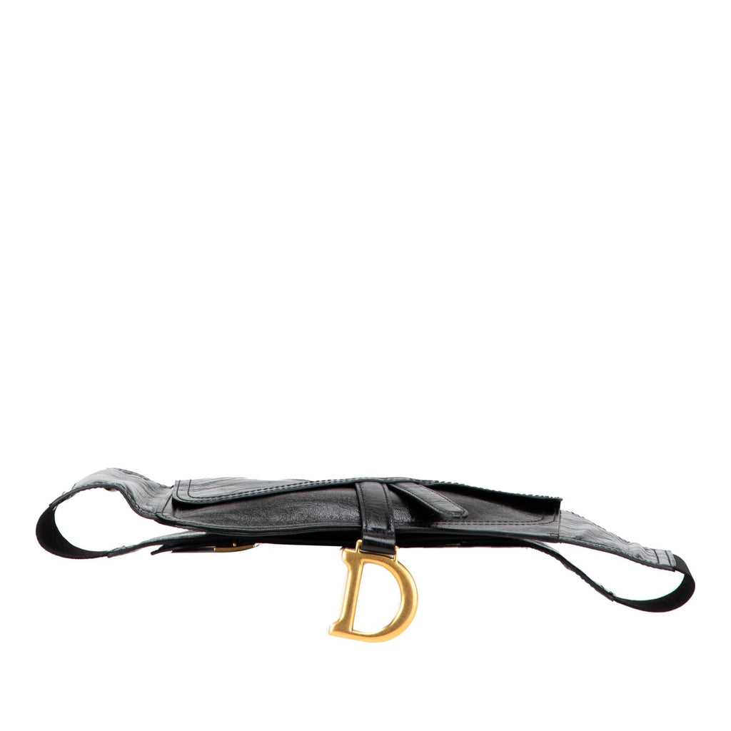 Dior Crinkled Lambskin Saddle Belt Bag