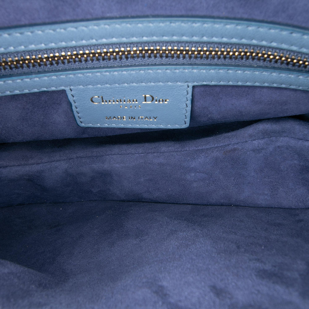 Dior Gradient Calfskin Saddle Bag