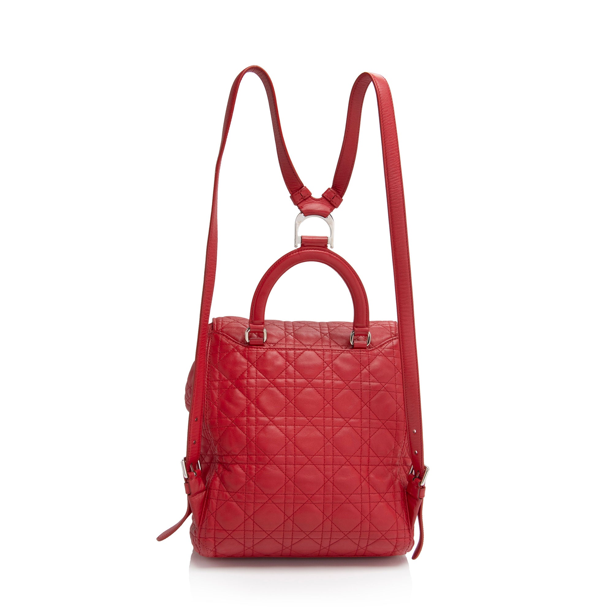 Dior Lambskin Stardust Large Backpack - FINAL SALE (SHF-NgNkzh)