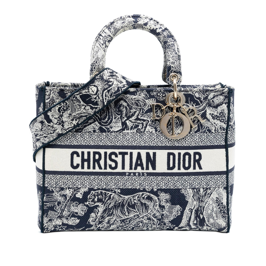 Dior Large Embroidered Canvas Toile de Jouy Lady D Lite