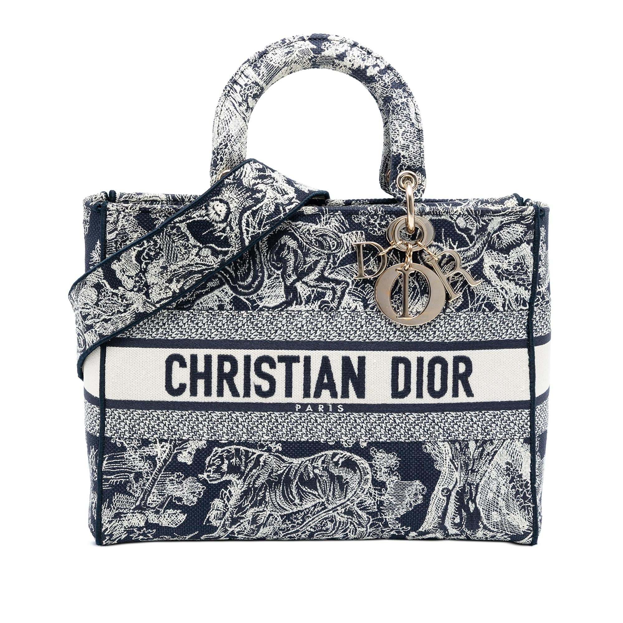 Dior Large Embroidered Canvas Toile de Jouy Lady D Lite
