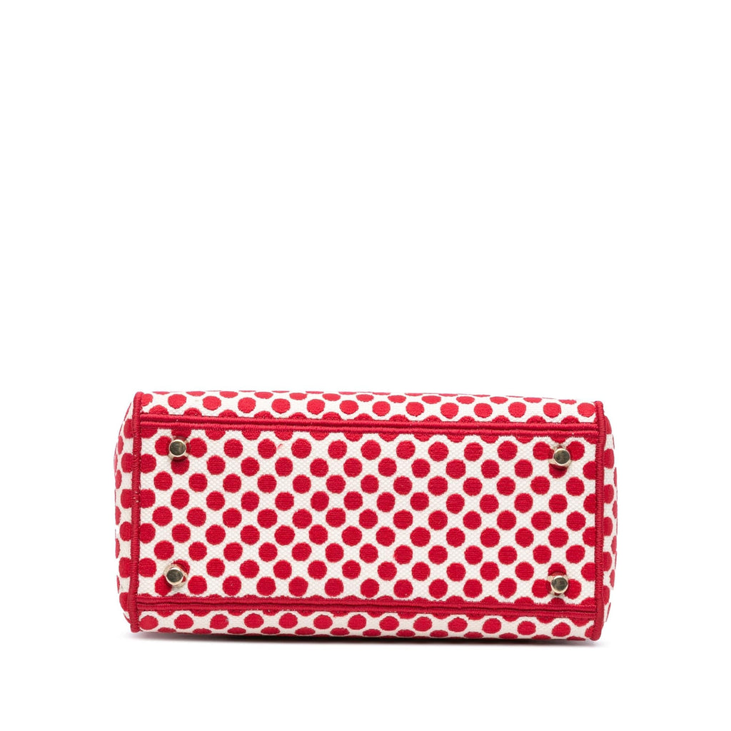 Dior Medium Canvas DiorAmour Dots Lady D Lite