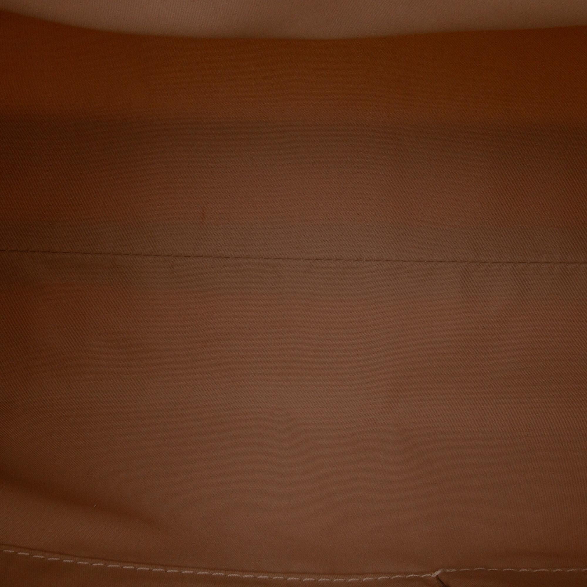 Dior Medium Diorissimo Trotter Nylon Lovely Tote