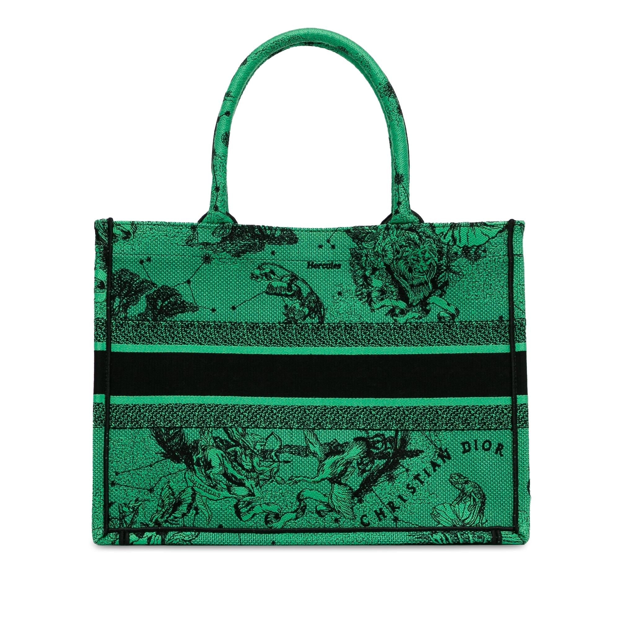 Dior Medium Embroidered Canvas Book Tote (SHG-zoAytt)