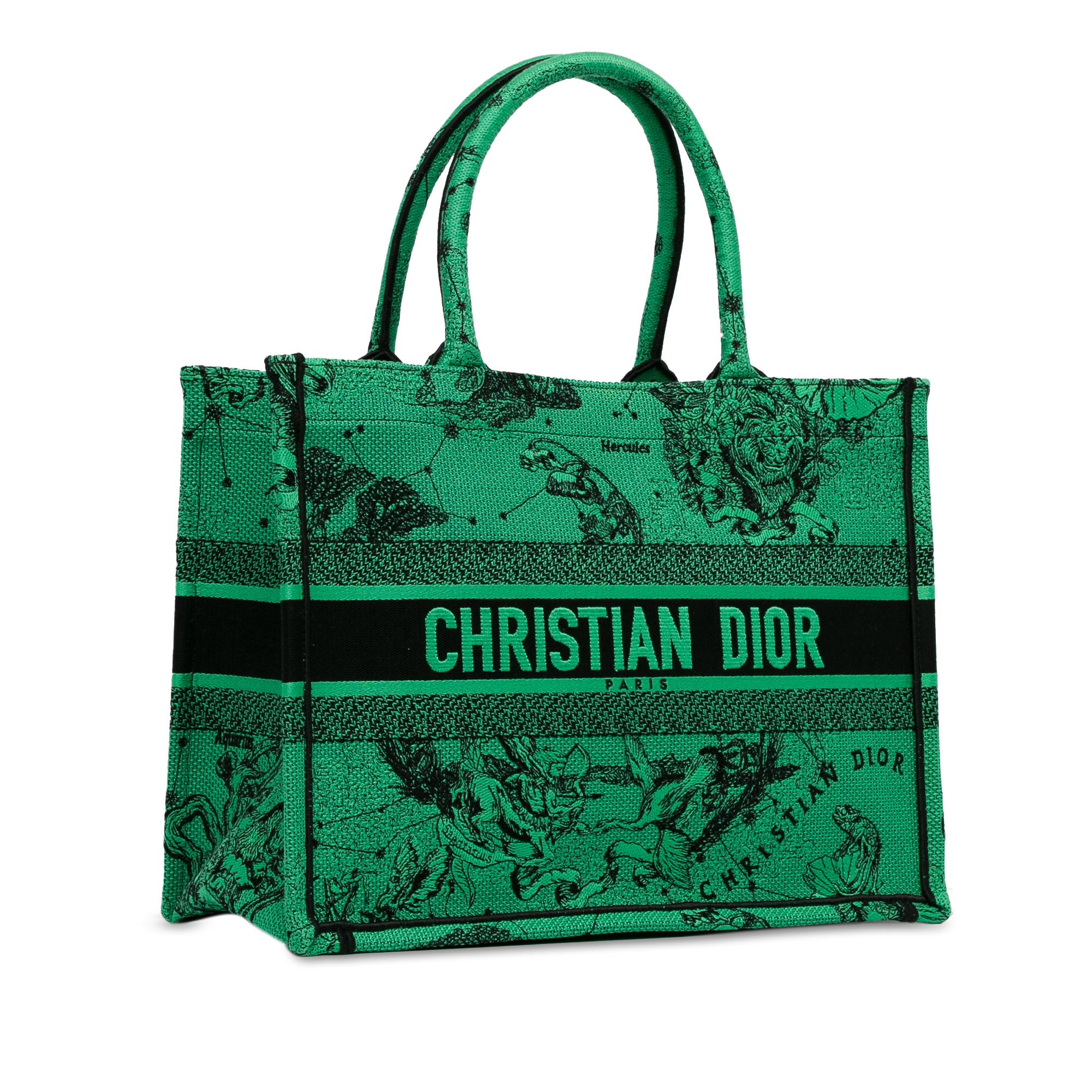 Dior Medium Embroidered Canvas Book Tote (SHG-zoAytt)