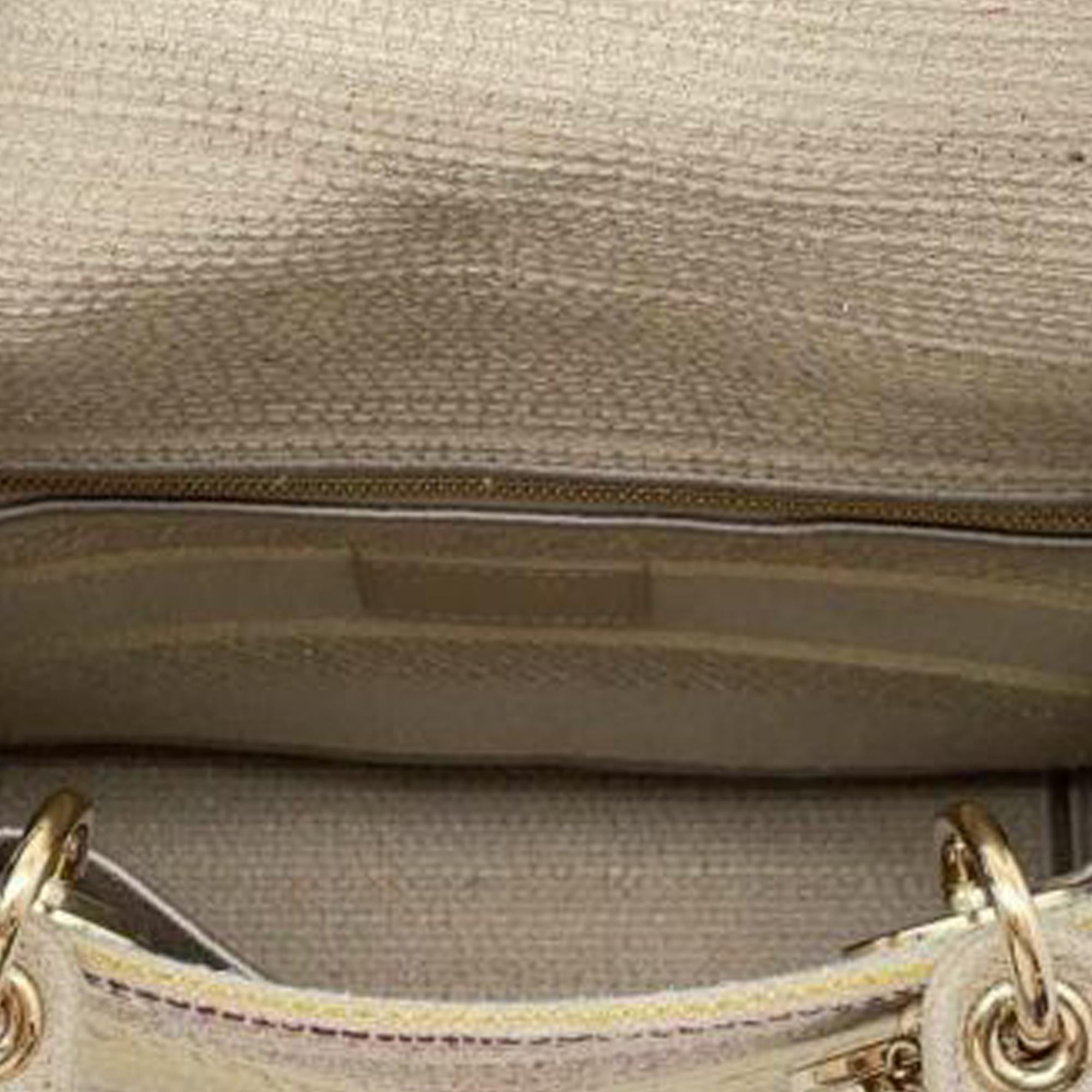 Dior Medium Embroidered Canvas Lady D-Lite (SHG-fmX9eY)