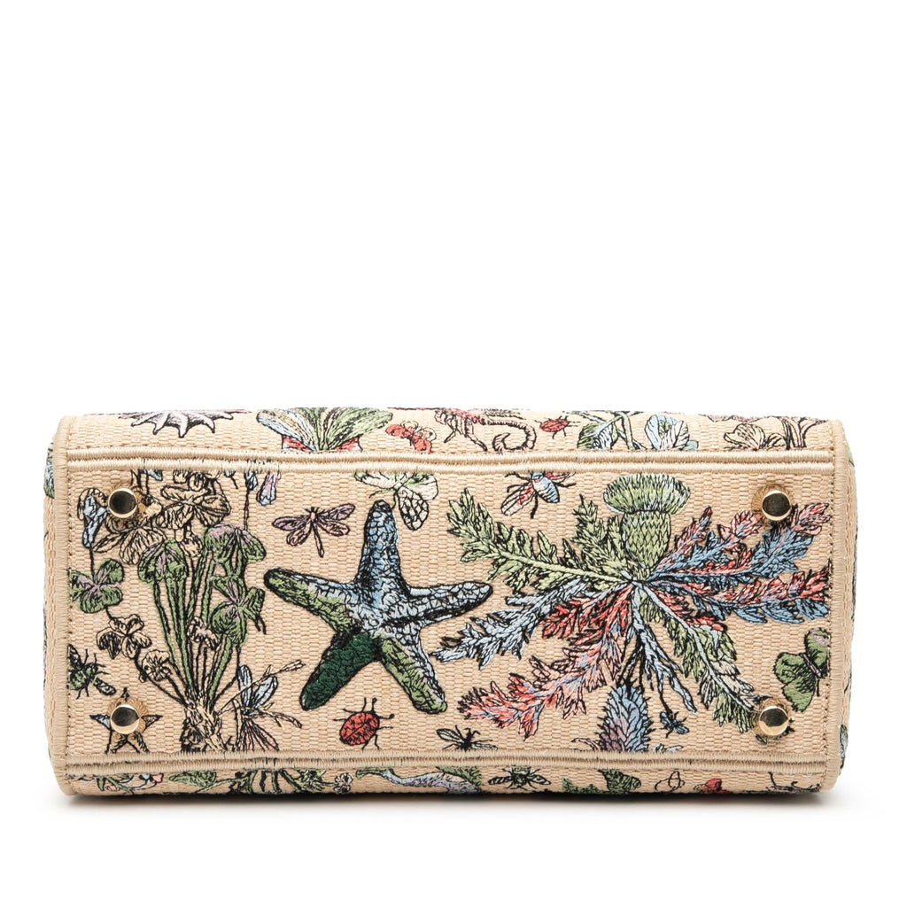 Dior Medium Embroidered Canvas Lady D Lite