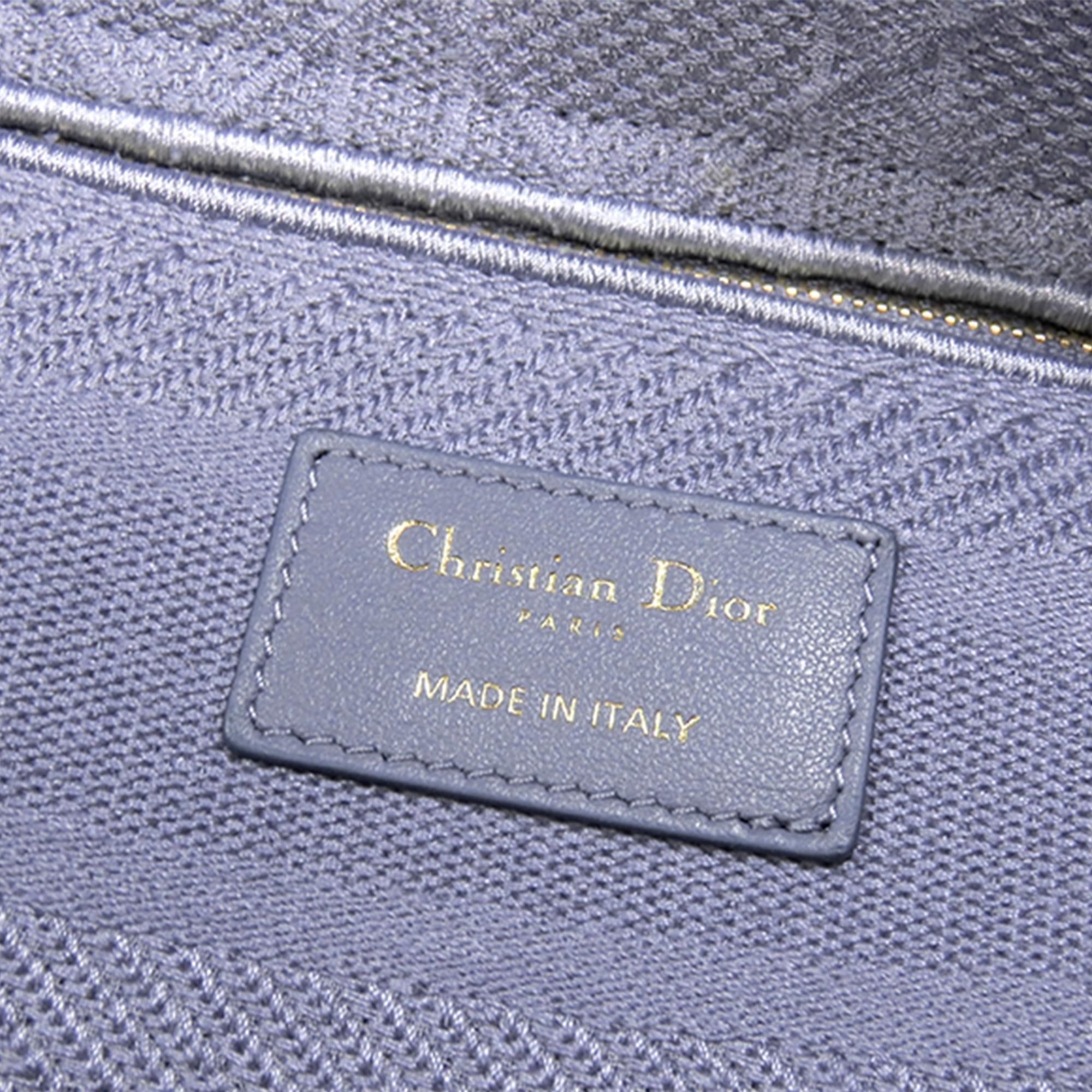 Dior Medium Lady D-Lite