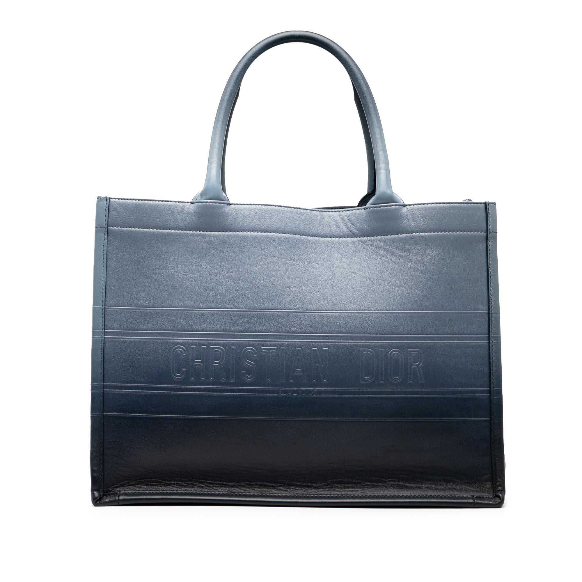 Dior Medium Ombre Embossed Leather Book Tote