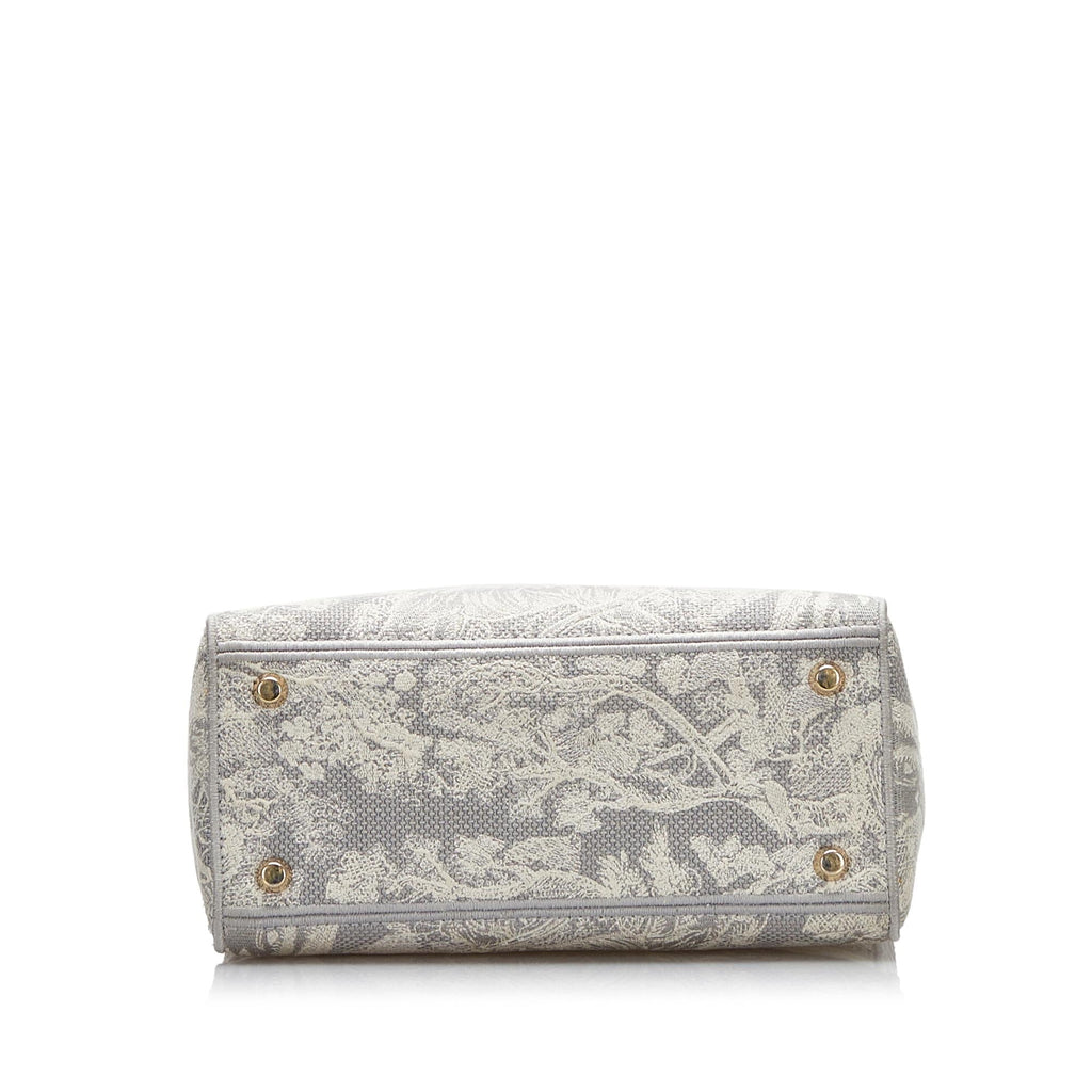 Dior Medium Toile de Jouy Lady D-Lite (SHG-QLSZrh)