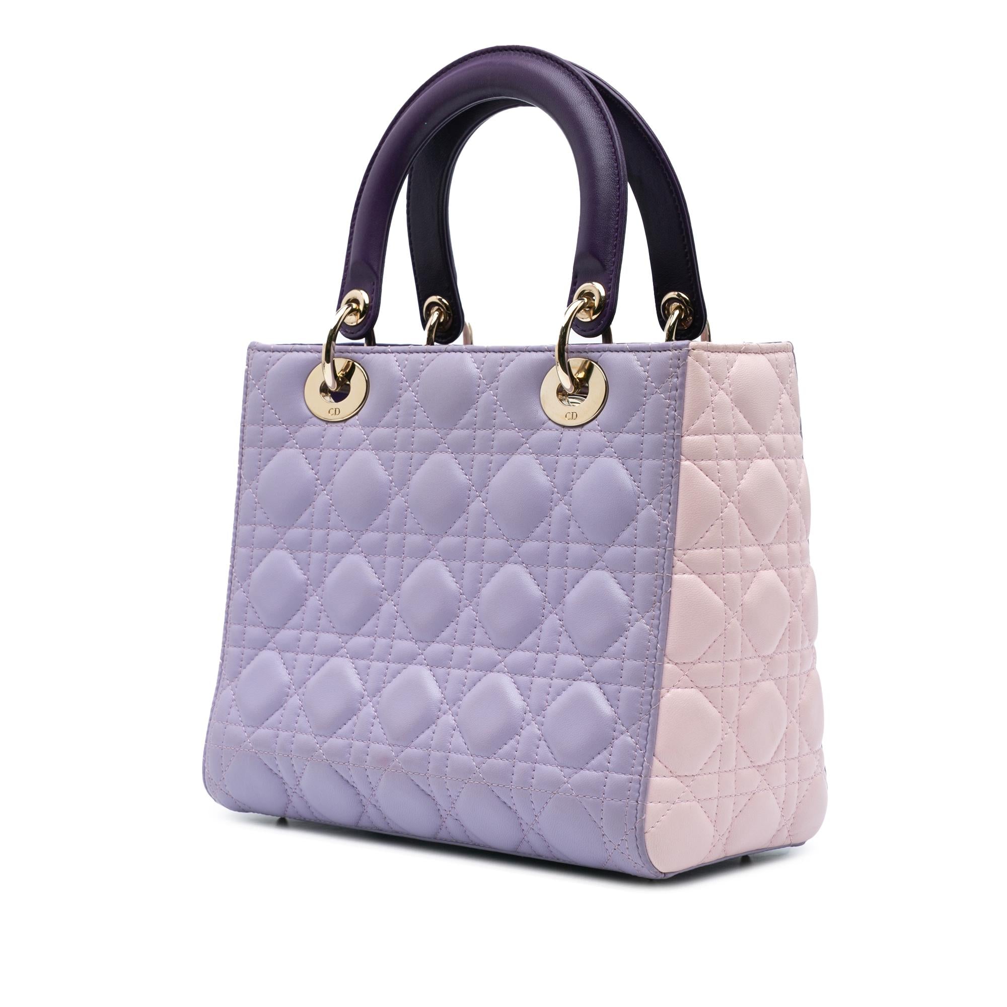 Dior Medium Tricolor Lambskin Cannage Lady Dior