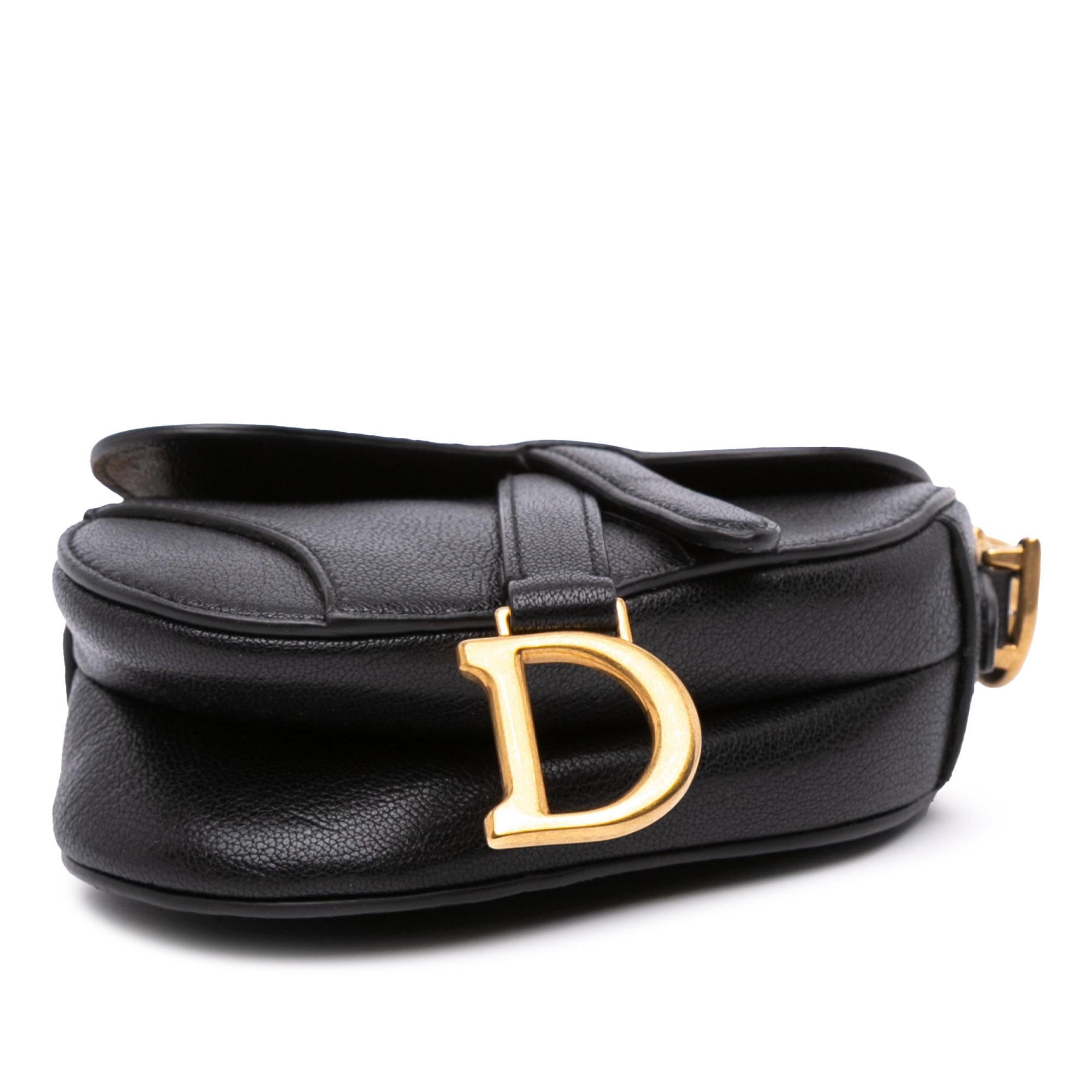 Dior Micro Goatskin Saddle