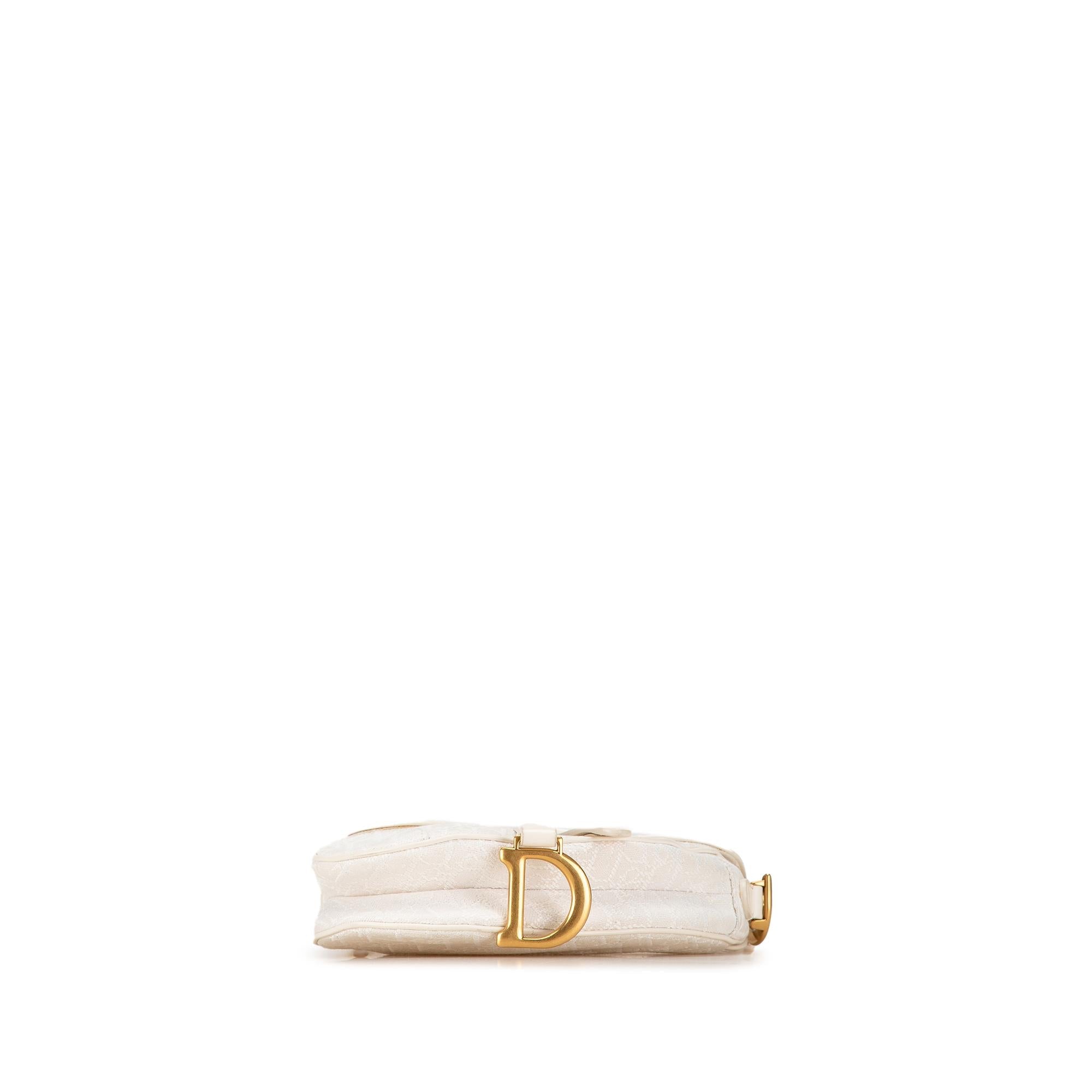 Dior Mini Oblique Canvas Saddle Bag