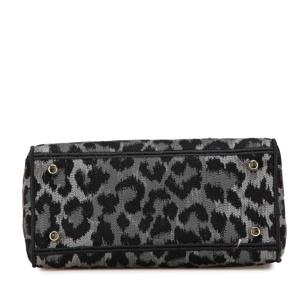 Dior Mizza Medium Embroidered Canvas Leopard Lady D Lite