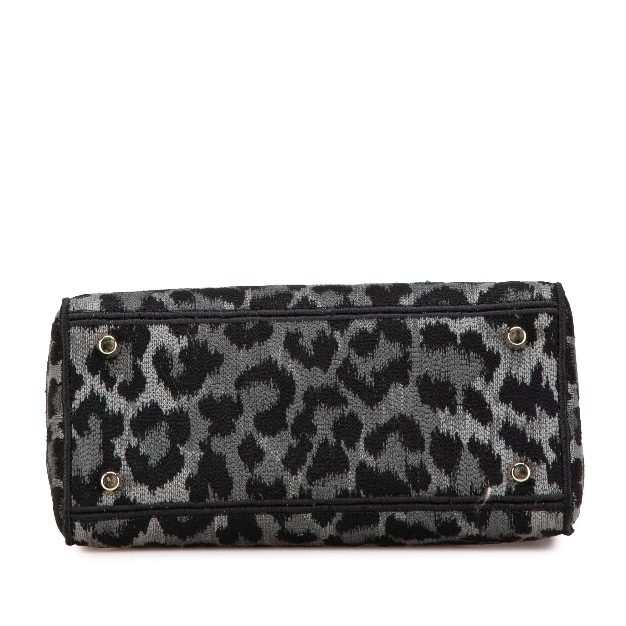 Dior Mizza Medium Embroidered Canvas Leopard Lady D Lite