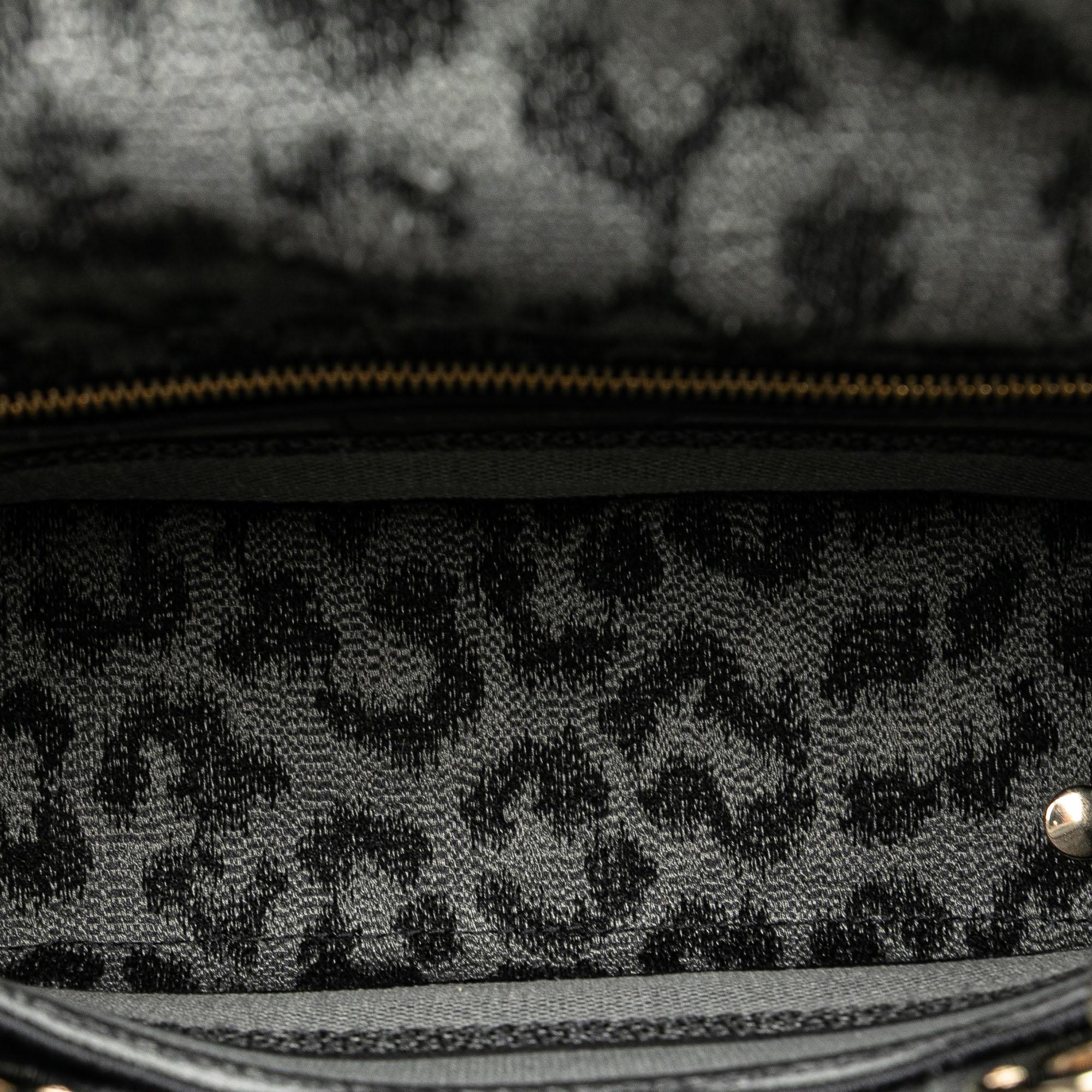 Dior Mizza Medium Embroidered Canvas Leopard Lady D Lite
