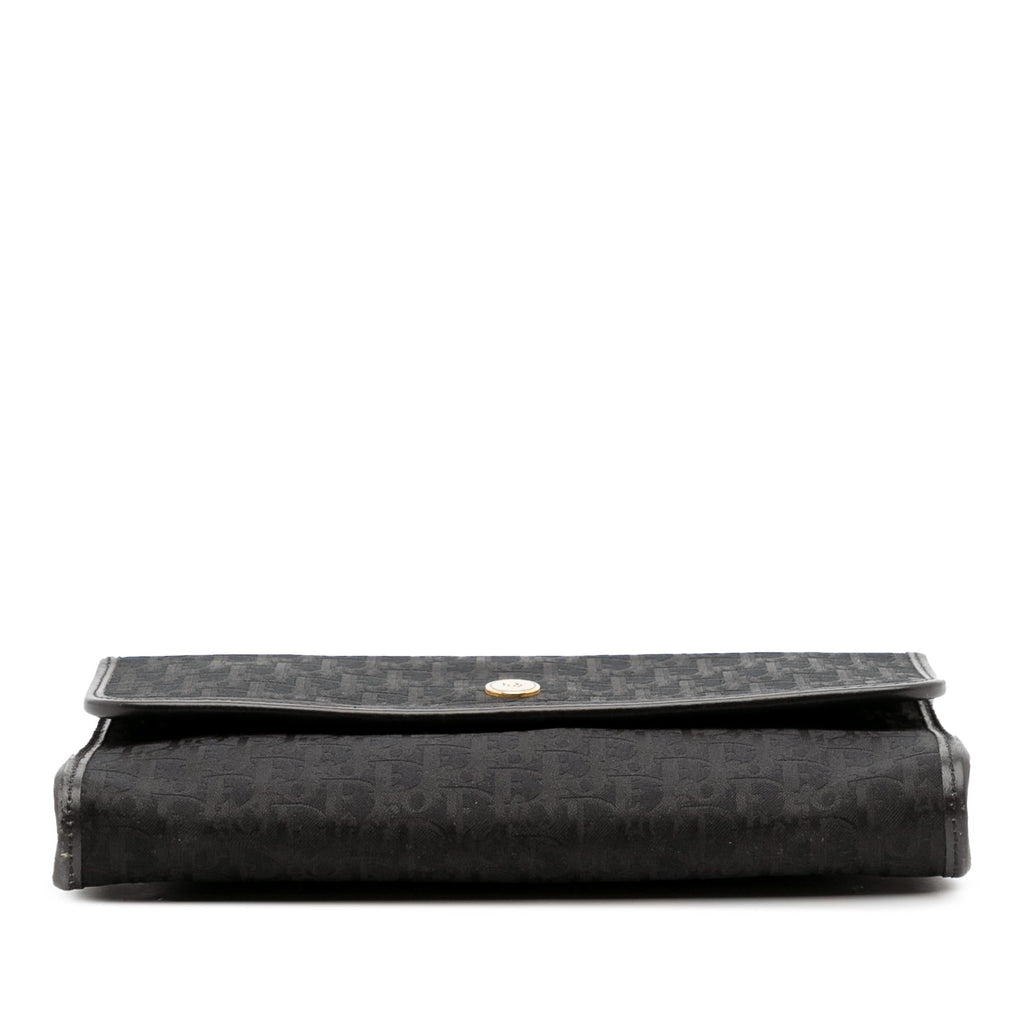 Dior Oblique Canvas Chain Crossbody