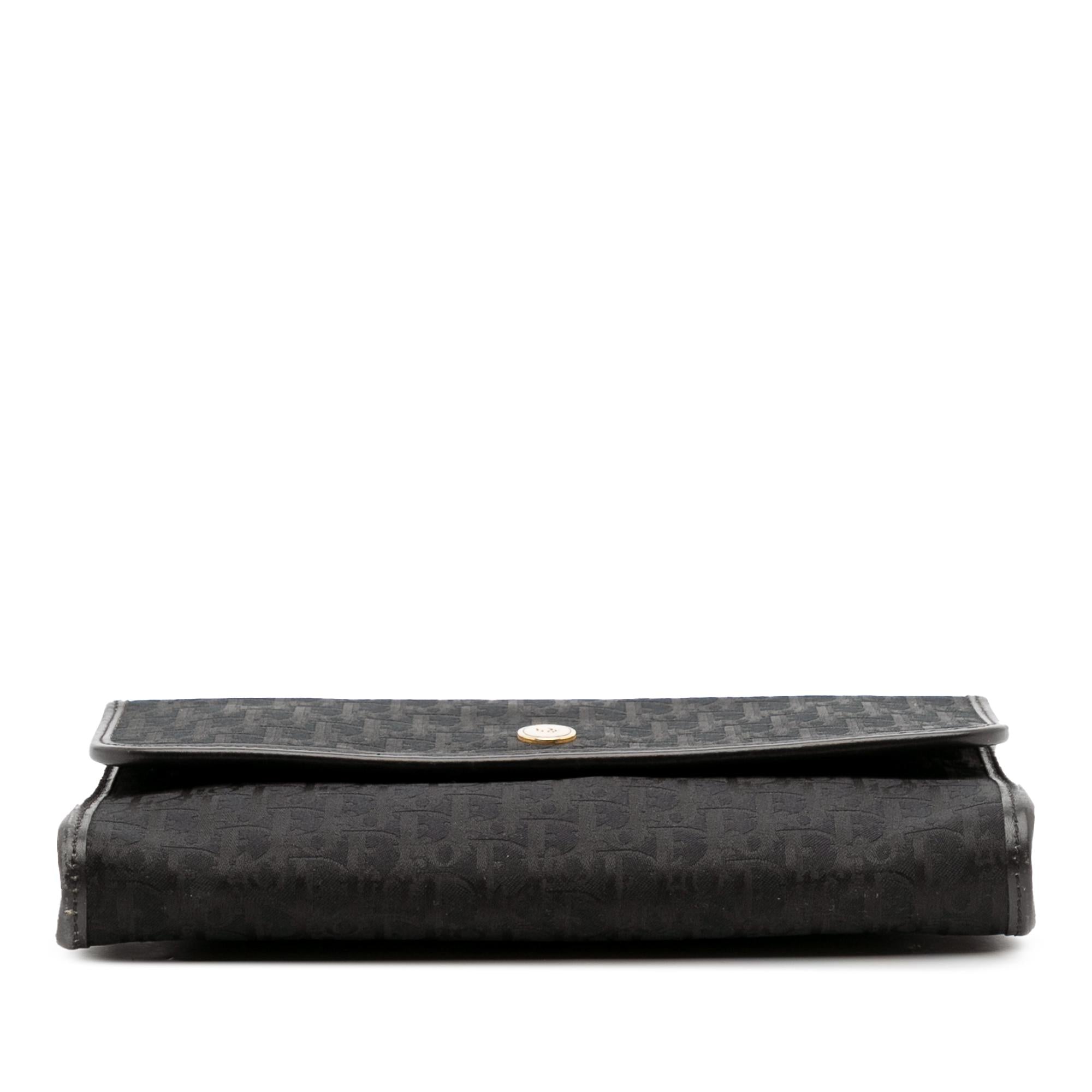Dior Oblique Canvas Chain Crossbody