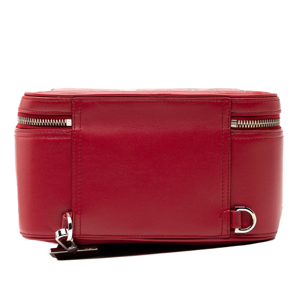 Dior Oblique Perforated Calfskin Galaxy World Tour Shoe Case