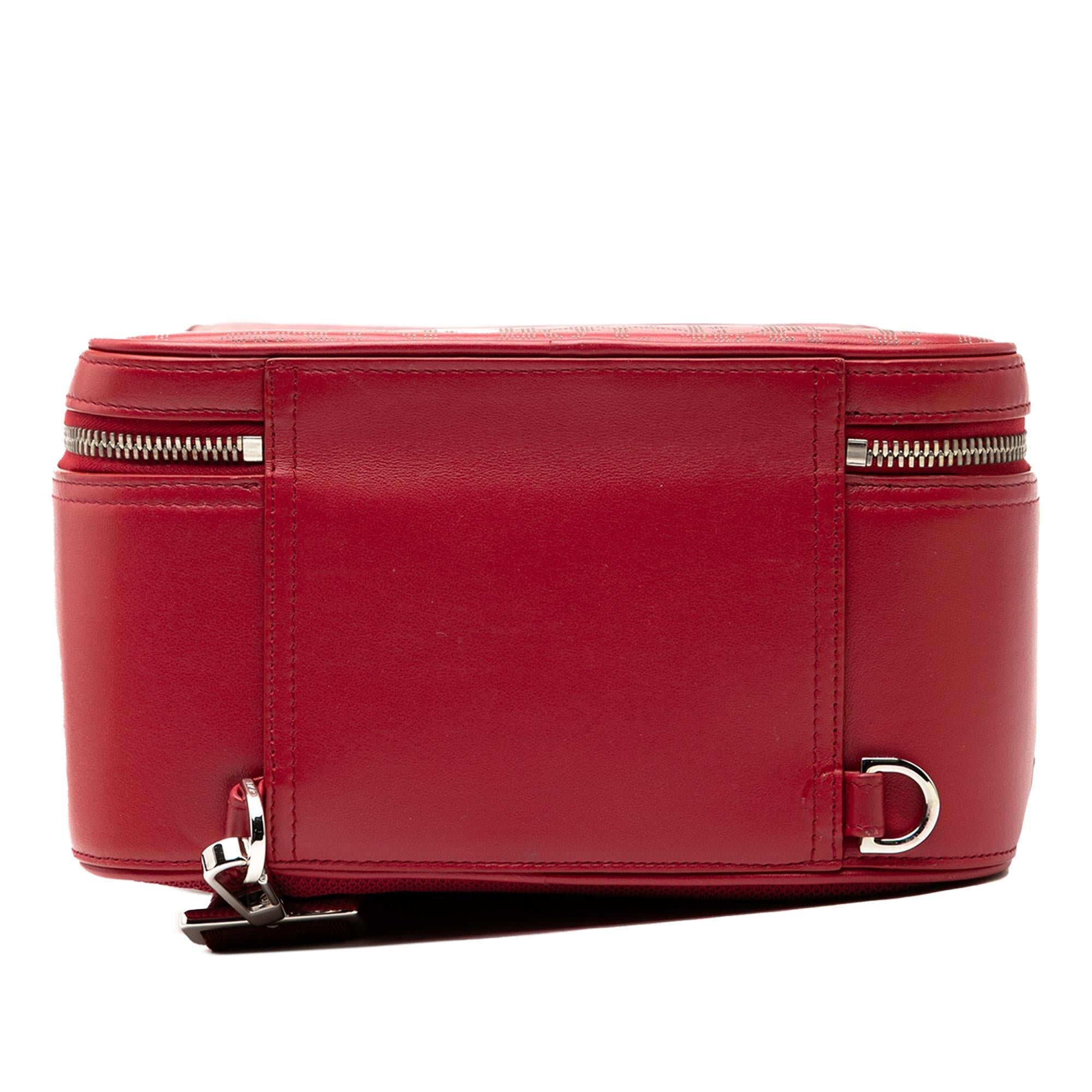 Dior Oblique Perforated Calfskin Galaxy World Tour Shoe Case