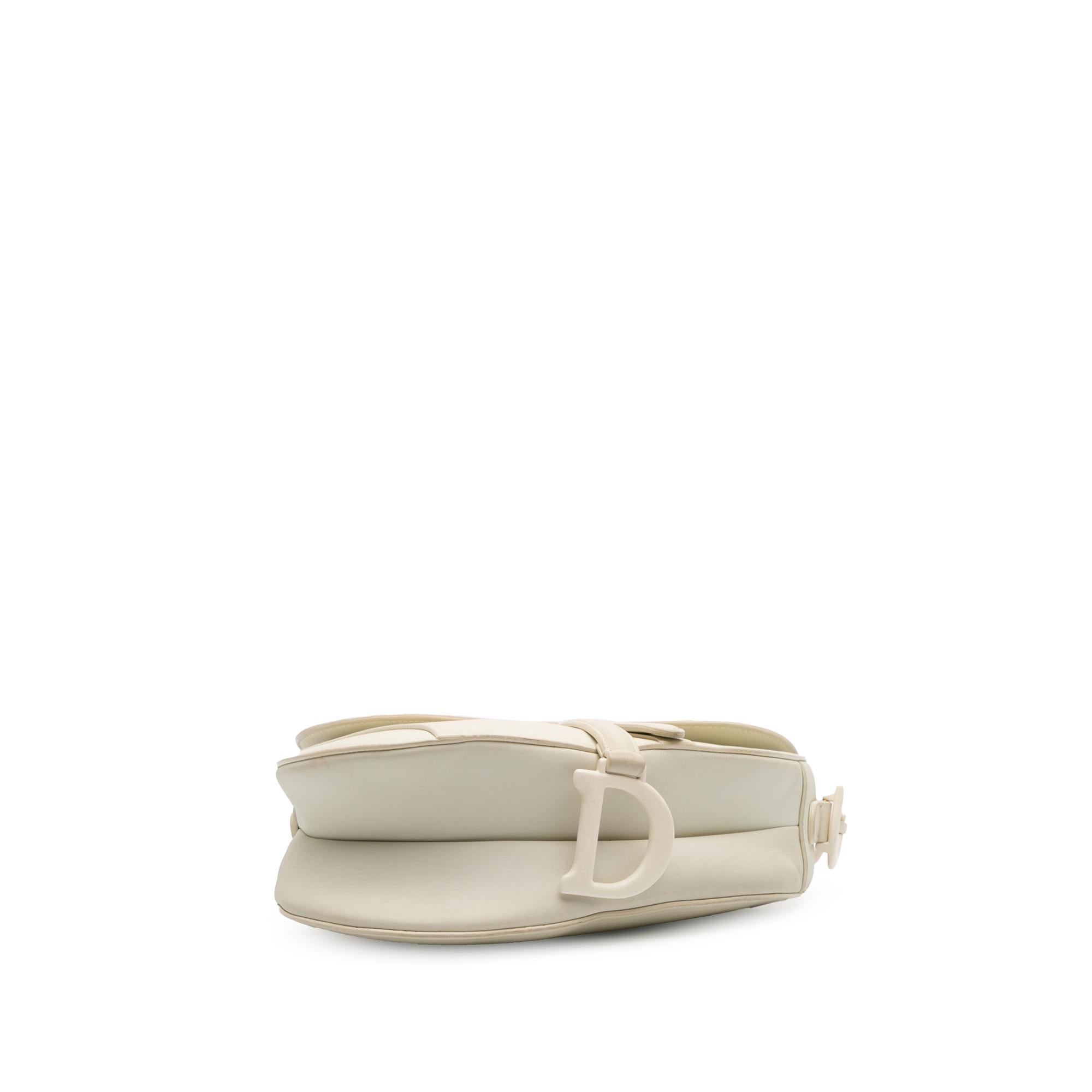 Dior Ultra Matte Calfskin Saddle Bag