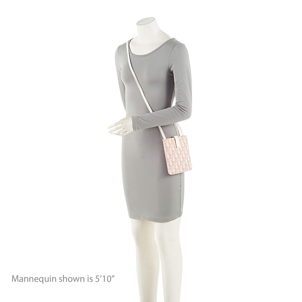 Dior Vintage Oblique Trotter 1 Messenger