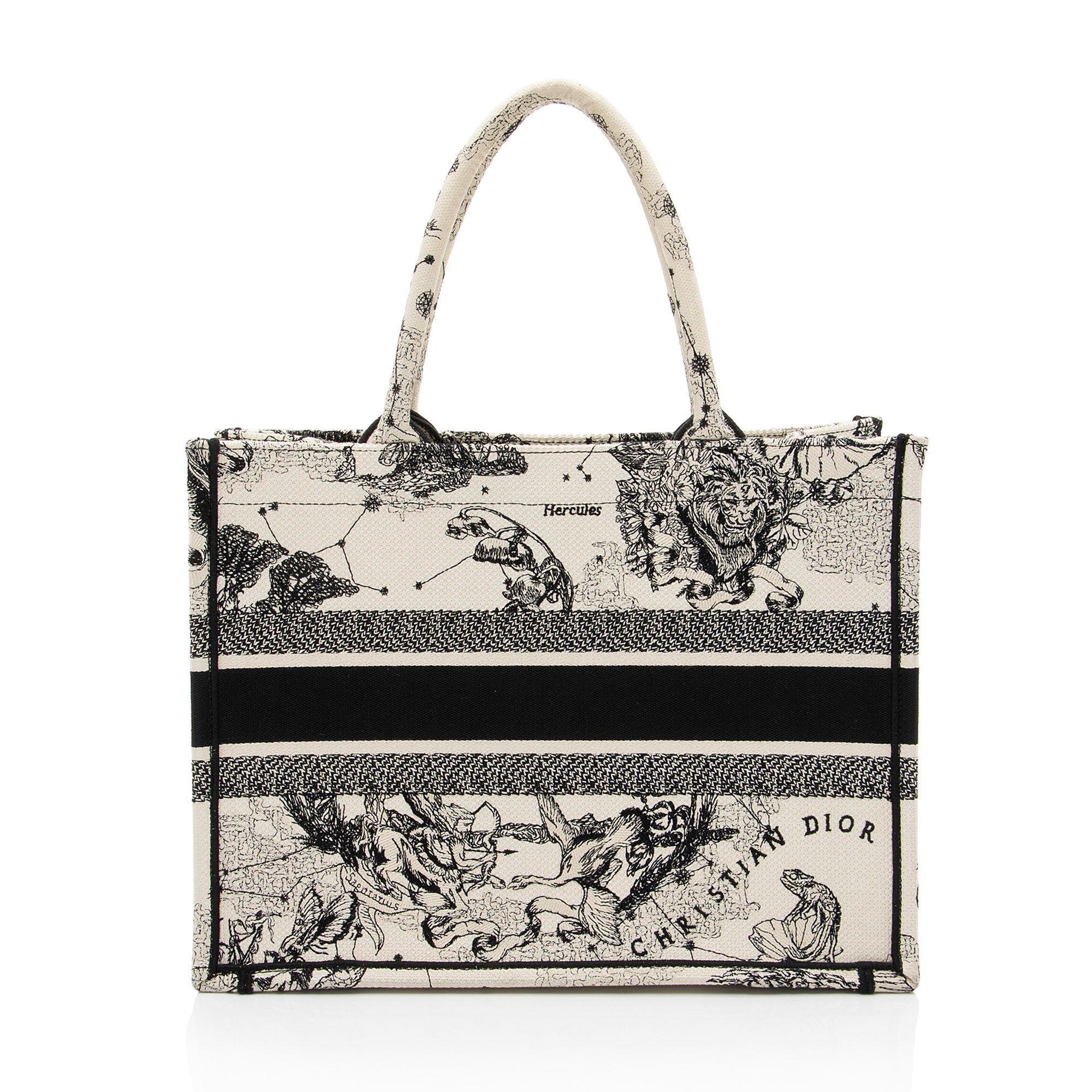 Dior Zodiac Toile De Jouy Medium Book Tote