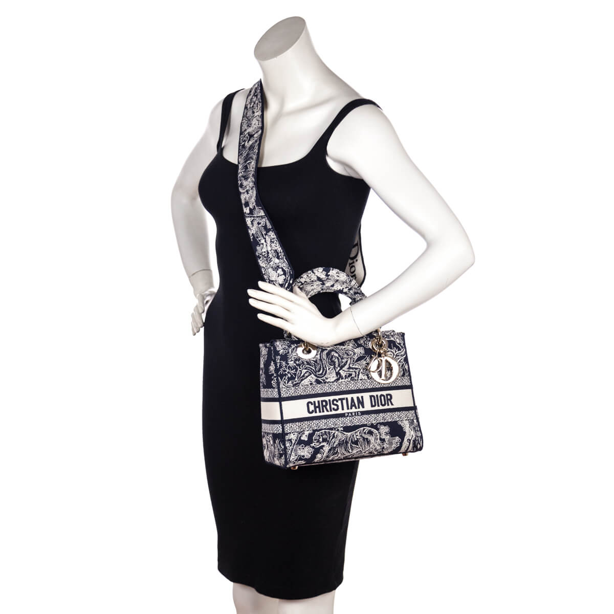 Dior Blue Toile de Jouy Reverse Embroidery Medium Lady D-Lite Bag