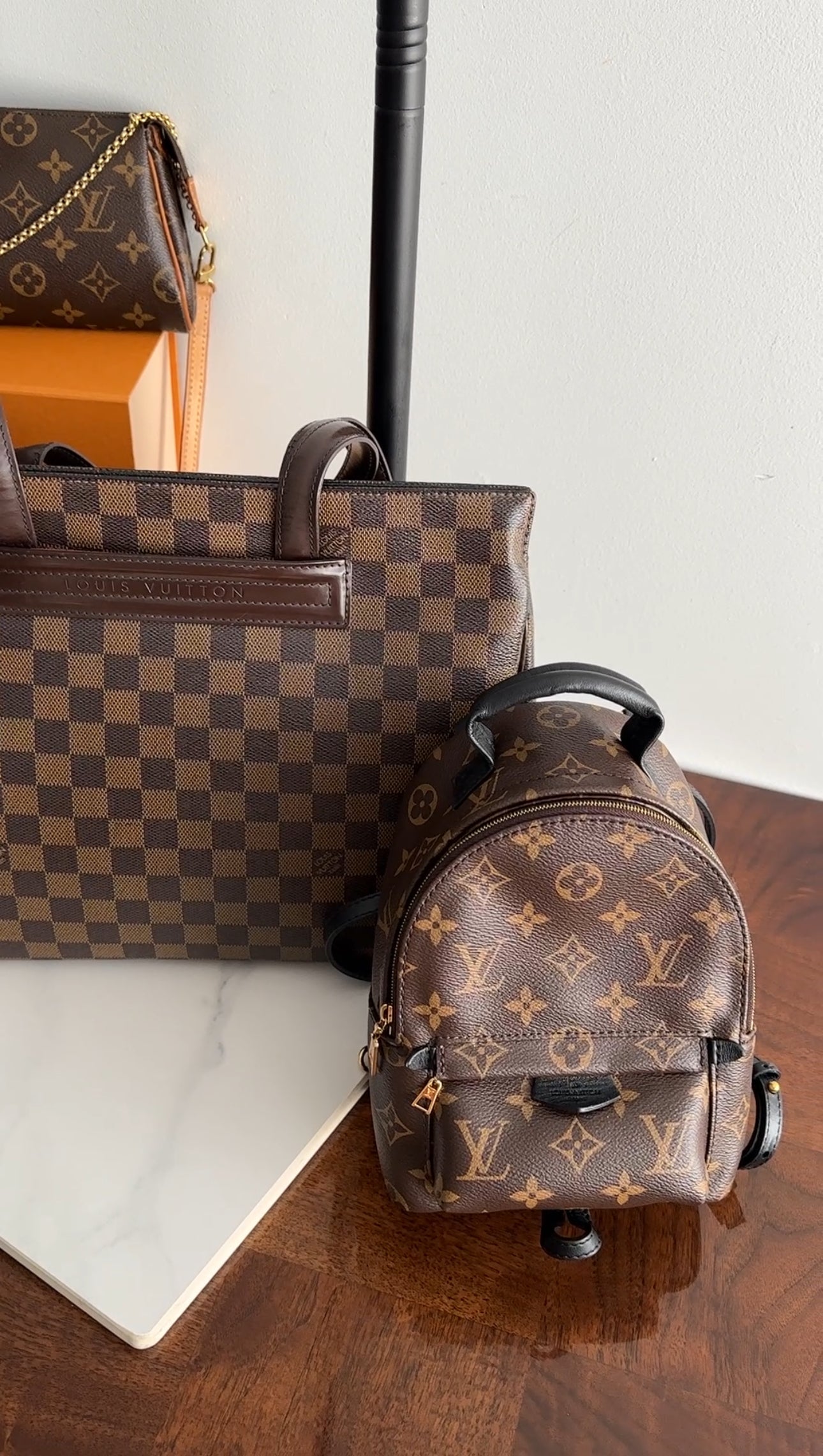 Louis Vuitton Monogram Canvas Palm Springs Mini Backpack
