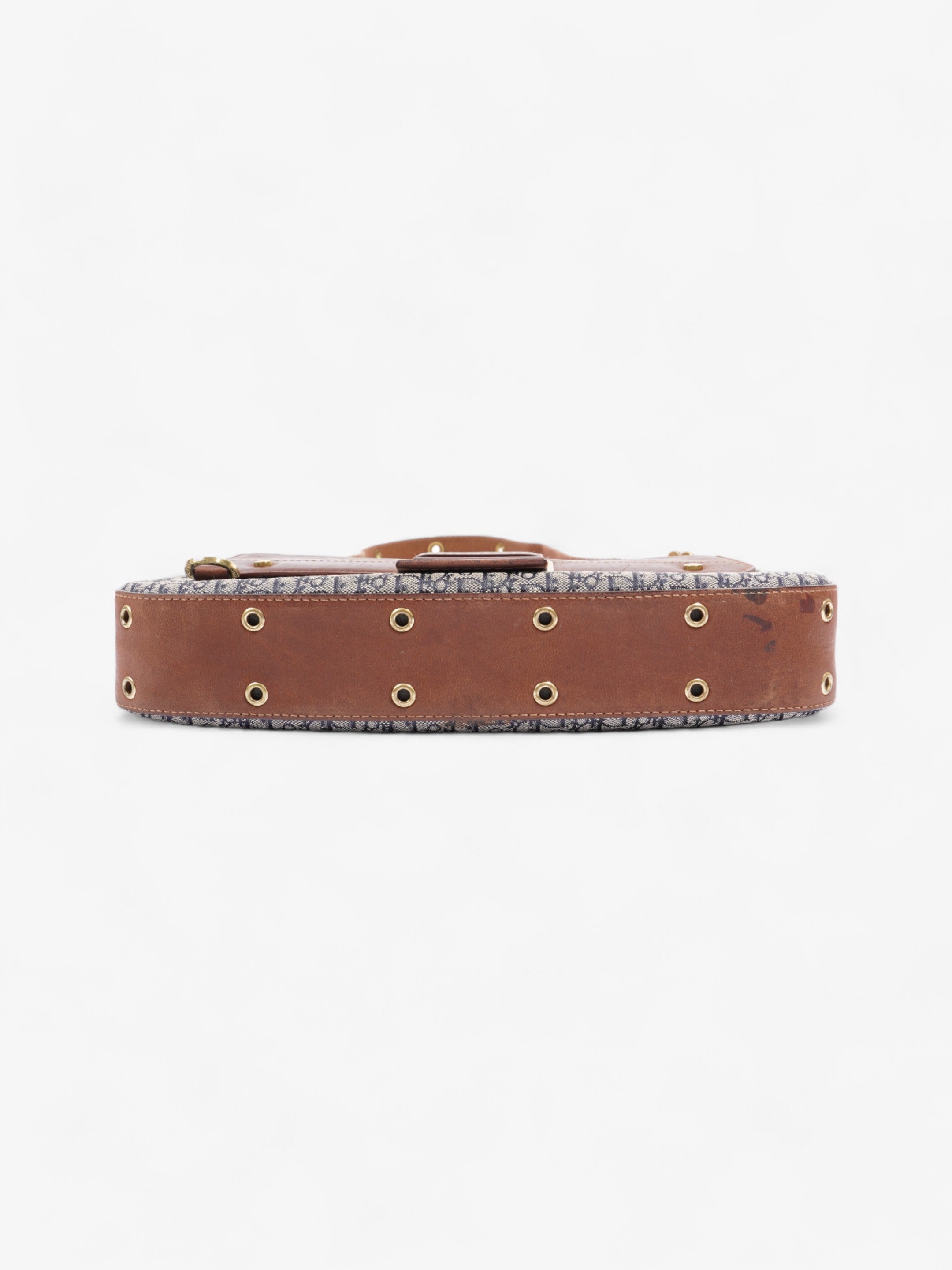 Christian Dior Street Chic Columbus Blue Oblique / Brown Canvas