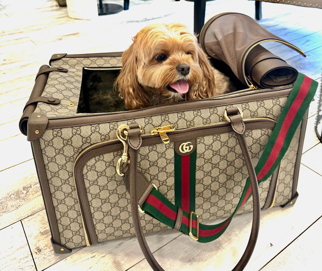 GUCCI GG SUPREME WEB PET CARRIER
