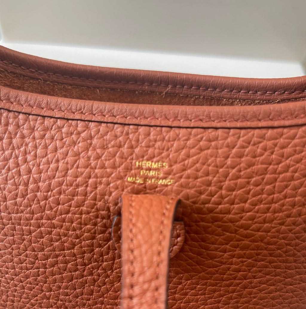 HERMÈS CLEMENCE MINI EVELYN TPM CROSSBODY BAG IN ROUGE PIVOINE