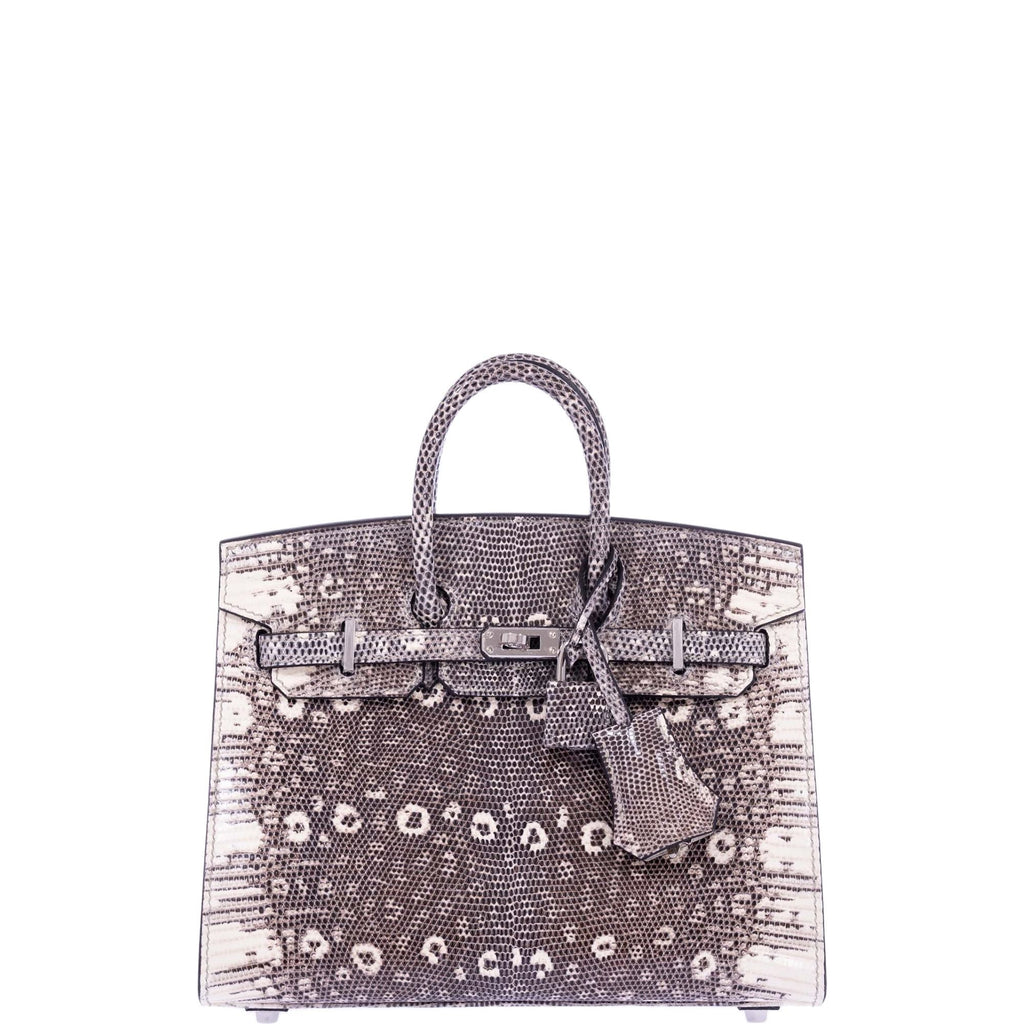 Hermès Birkin 20 Sellier Ombré Varanus Salvator Lizard Palladium Hardware