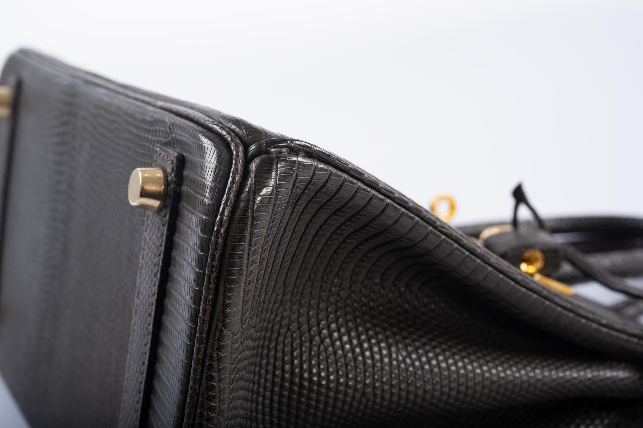 Hermès Birkin 25 Ebene Matte Salvator Lizard Gold Hardware