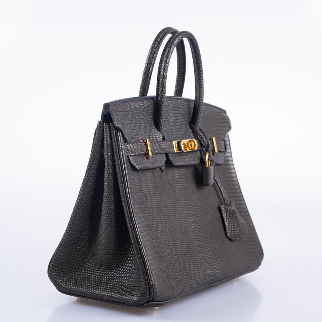 Hermès Birkin 25 Ebene Matte Salvator Lizard Gold Hardware