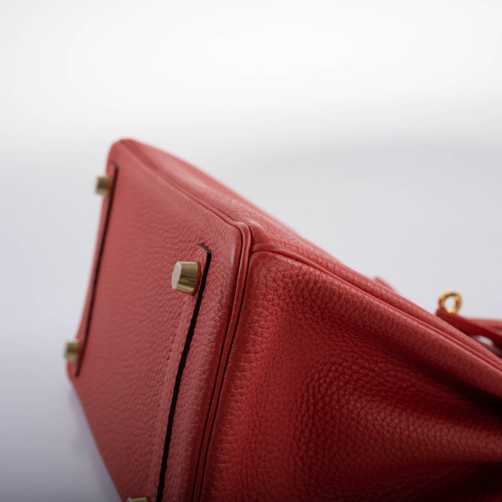 Hermès Birkin 25 Rouge Pivoine Togo Gold Hardware - 2015, T
