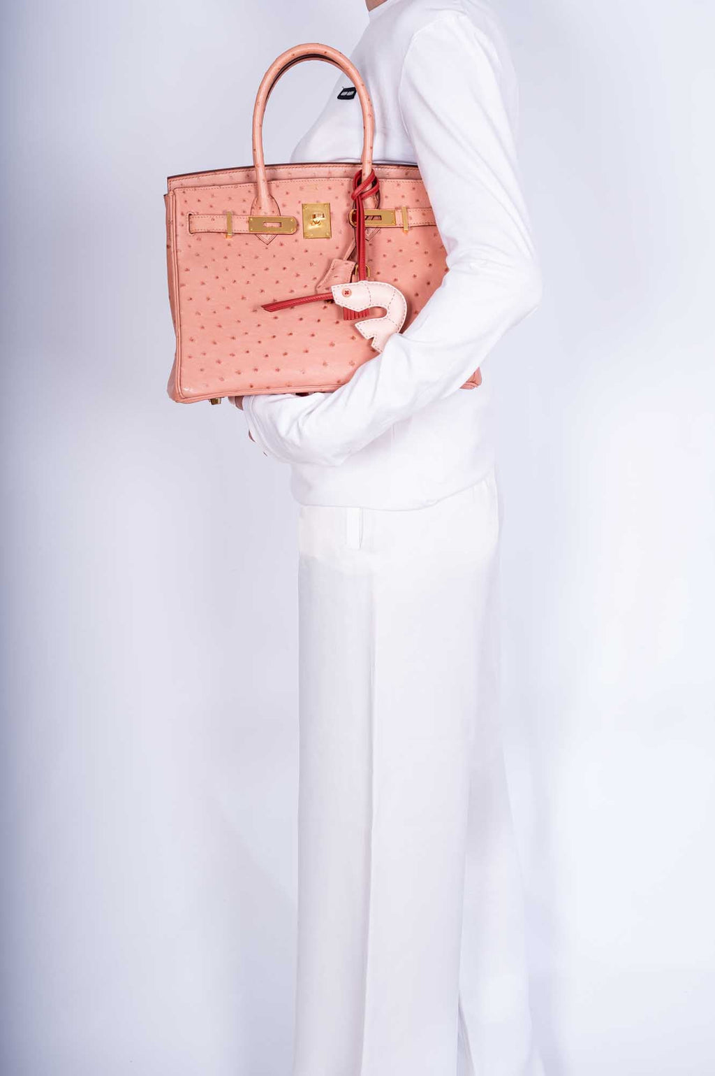 Hermès Birkin 30 Terre Cuite Ostrich Gold Hardware