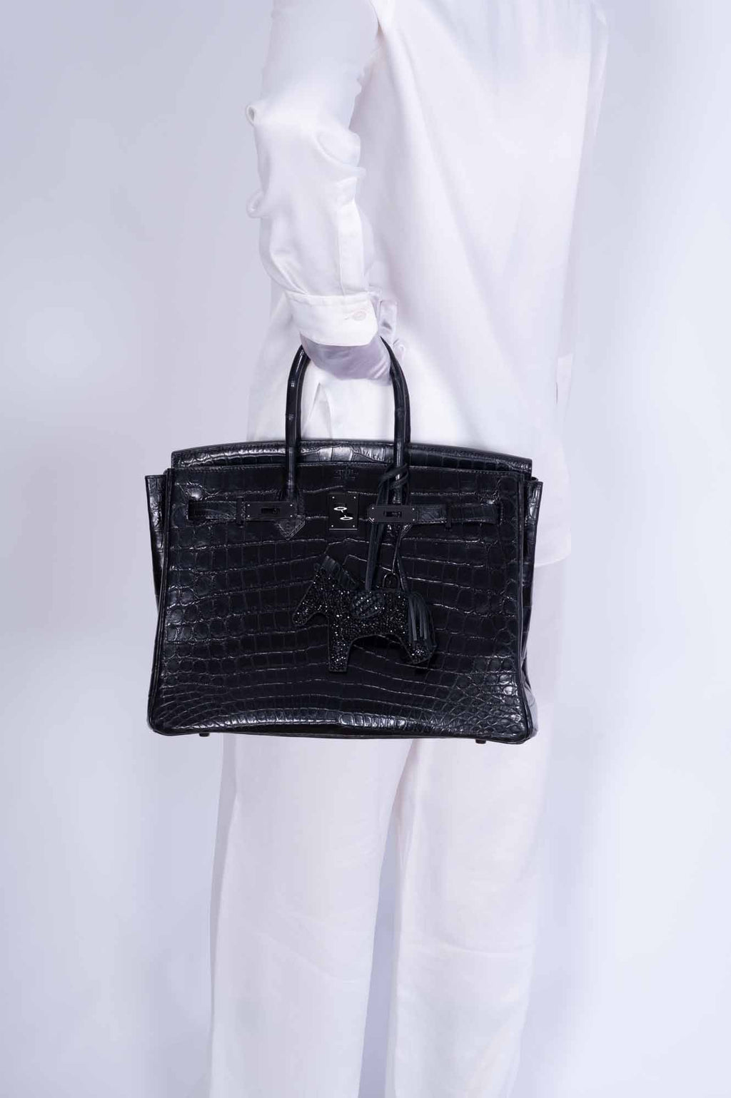 Hermès Birkin 35 SO BLACK Matte Niloticus Crocodile PVD Black Hardware